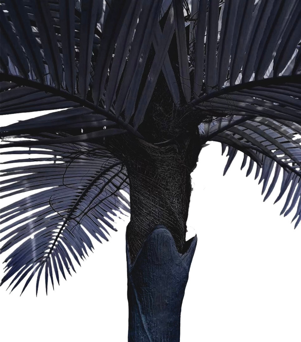 Charcoal Black - Faux  Life Size Palm Tree